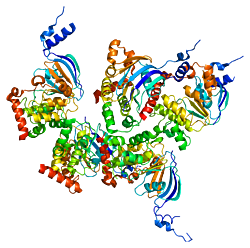 Gene responsável pela fibrose cística (CFTR)