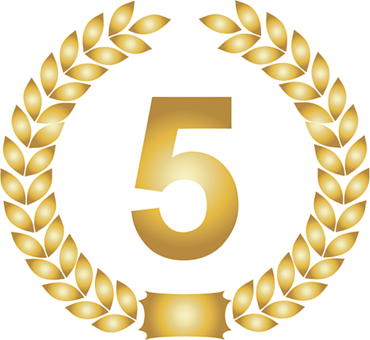 Fuí el 5to lugar de mi grupo