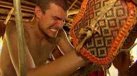 Timeline: Bullet Ant Glove