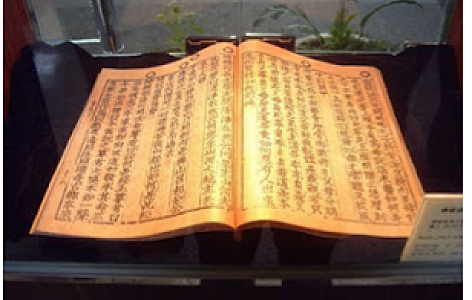 Roma y el libro de Adversaria