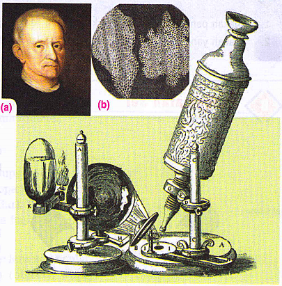 Robert Hooke