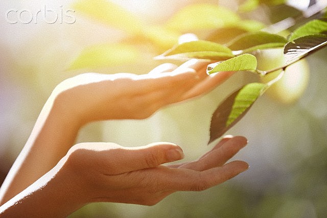 Comunidad científica