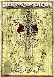 1479. Canon de Avicena, que apareció datado en Padua