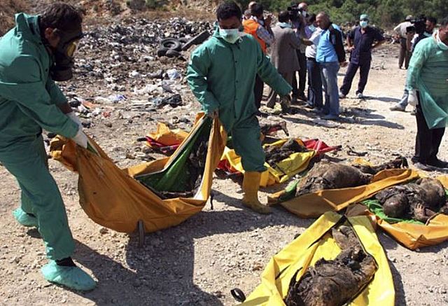 Proposta d'amnistia i oposició armada