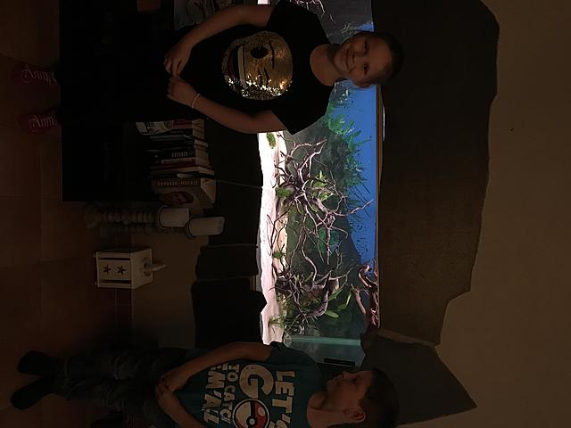 Maximillien de Robespierre tar makten i Frankrike.