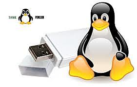 Google crea Penguin, penalizando las malas técnicas