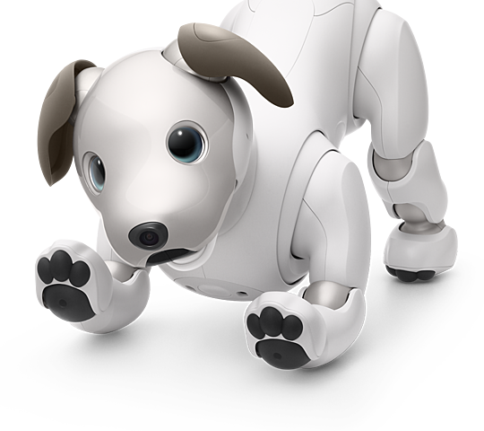 Aibo