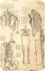 XV. Creación de obras dedicadas a la anatomía Tasrīhi Mansūrī