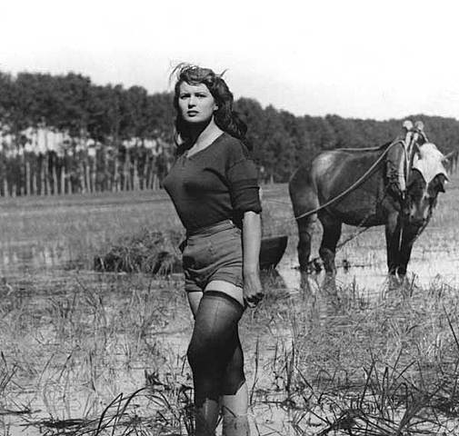 Néoréalisme italien - 1943 - 1955