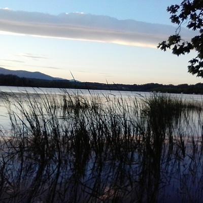 Timeline: historia dels