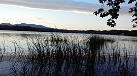 Timeline: historia dels