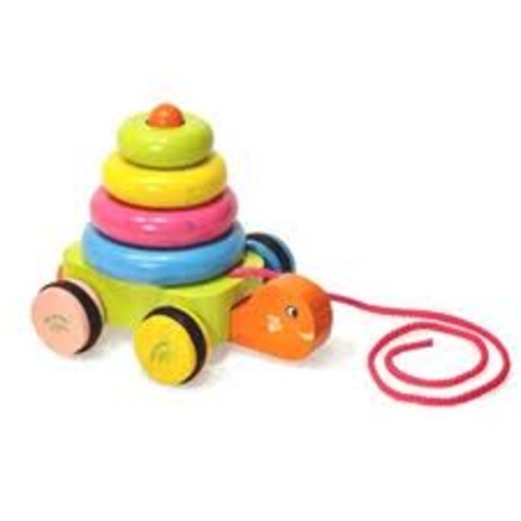 The First Two Years: Cognitive