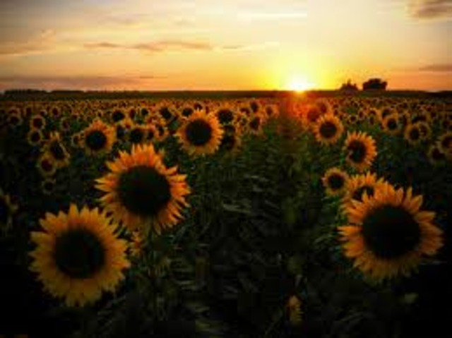 Epilogue: Death and Dying