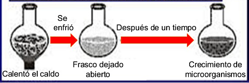 Teoría de la generación espontánea (John Needham)