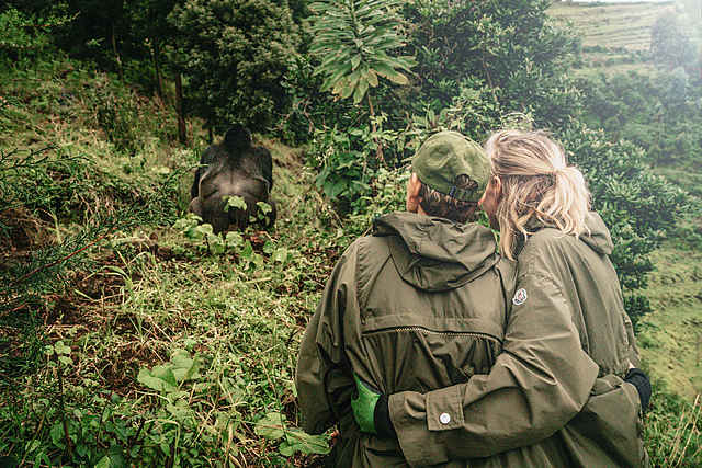 Dian Fossey Gorilla Campus: The purpose was to create a learning and training facility to preserve the survival of mountain gorillas
