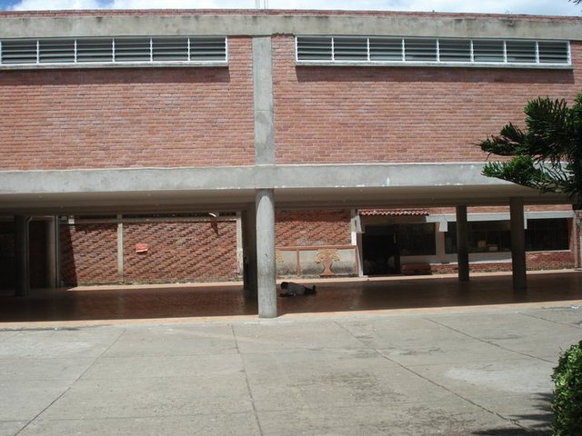 Y El crecimiento Continua