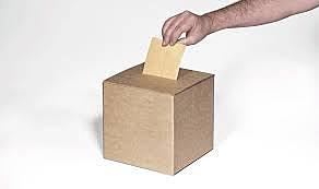 Elecciones municipales de 1987