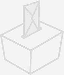 Elecciones municipales 1993