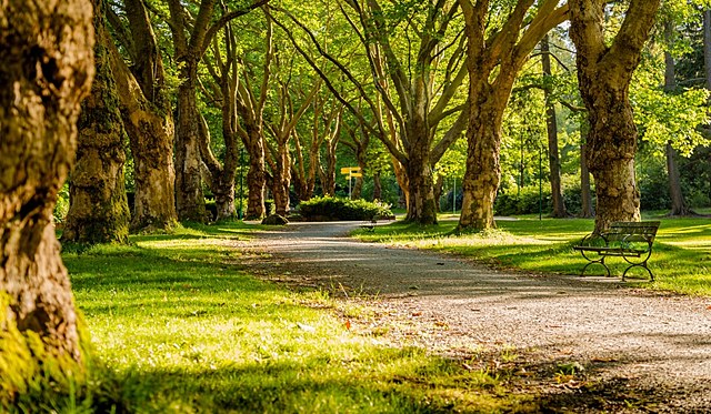 EL DEBATE PARLAMENTARIO