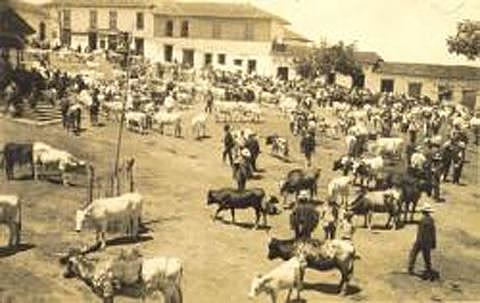 CONSECUENCIAS  SOCIALES DE LA COLONIZACION ANTIOQUEÑA