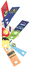 Elecciones Municipales de 1999