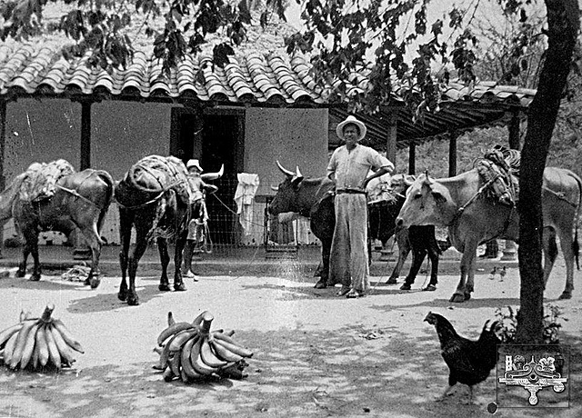 CONSECUENCIAS ECONÓMICAS DE LA COLONIZACION ANTIOQUEÑA