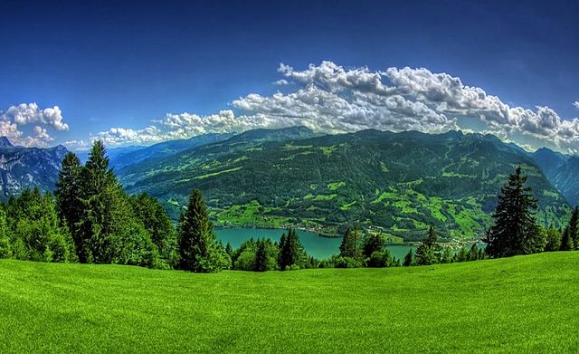 VOTARON POR PRIMERA VEZ