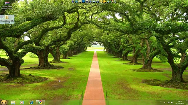 LEY DE PARIDAD Y ALTERNANCIA 31030