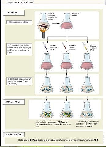 Avery,Mcleod,Mccarty