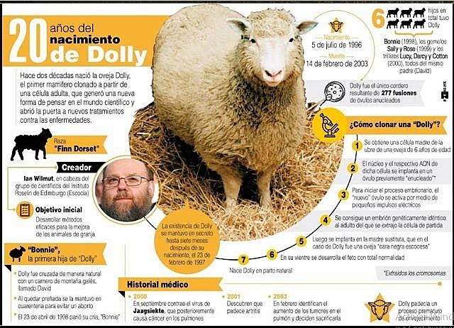 Dolly
