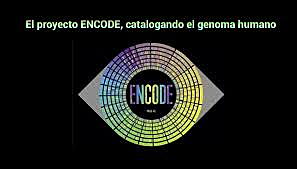 Inicia el proyecto ENCODE