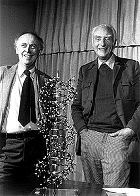 Estructura de doble hélice del ADN (Watson y Crick)
