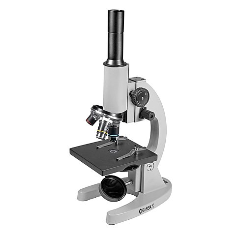 Compound Microscope