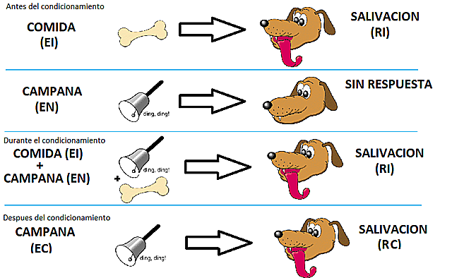Condicionamiento clásico