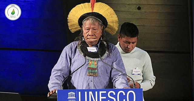 Relator Especial sobre los derechos de los pueblos indígenas