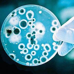 Antibioticos combaten las bacterias superresistentes