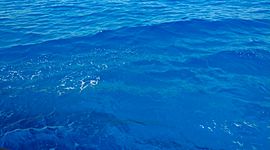 Timeline: Autobiografia_EnricoA