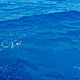 Img 20170727 wa0028