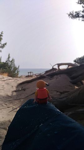 Dove mi vedo tra 5 anni?