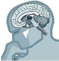 Effects of memoristic learning