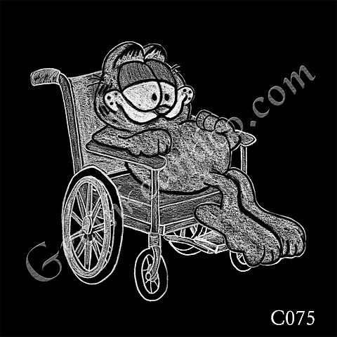 Americans with Disabilities Act