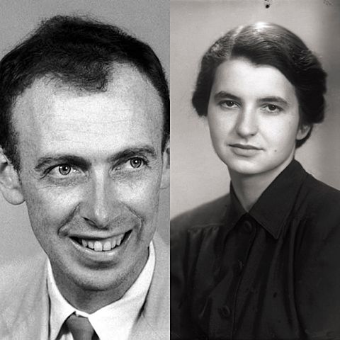 James Watson 1928 Rosalind Franklin 1920- 1958