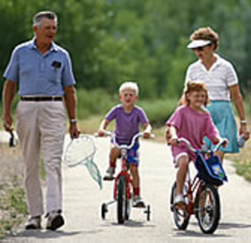 Late Adulthood - Biosocial