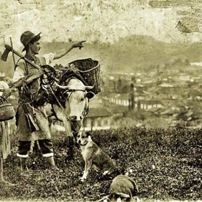 Timeline: Los cambios de la colonización antioqueña