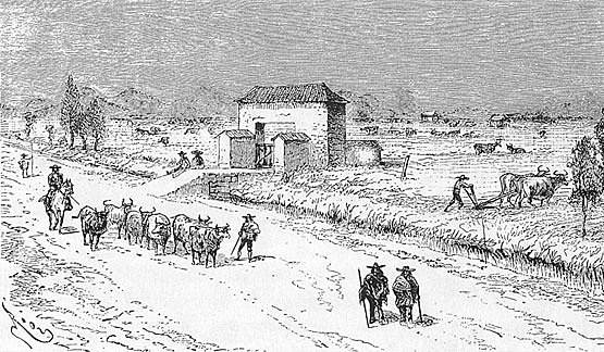 Intensificación de la colonización