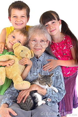 Late Adulthood - Cognitive