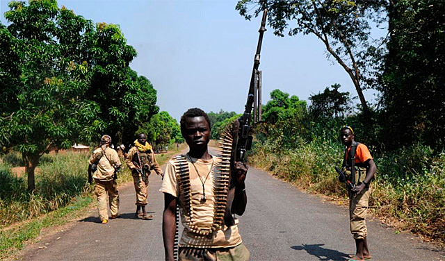 Golpe de estado Seleka