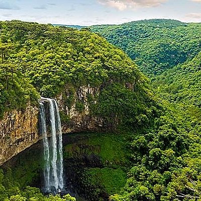 Timeline: Selva amazónica