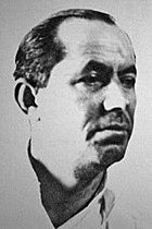 Fausto Pacheco(realista) - Costa rica