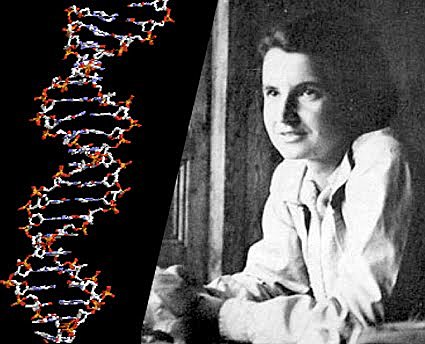 Rosalind Franklin